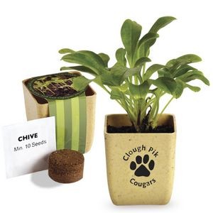 Bamboo Flower Pot Set With Chive Seeds